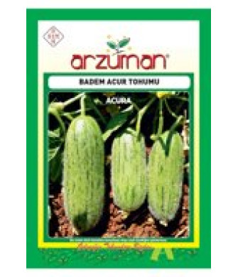 BADEM ACUR (10GR)