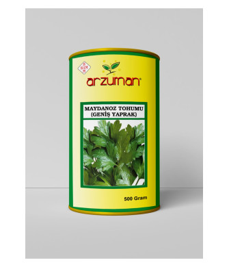 D`GİANT İTALİANA MAYDANOZ (İTHAL) 100 GR