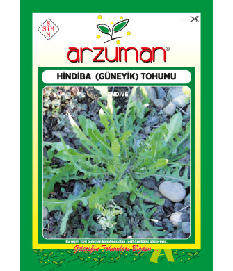 HİNDİBA (GÜNEYİK) ( 3 GR )