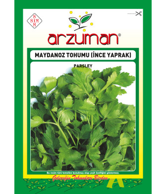 İNCE YAPRAK MAYDANOZ (25 GR)