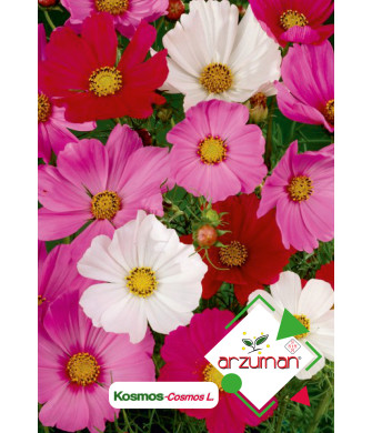 KOSMOS (30 adet) KOSMOS (30 adet)