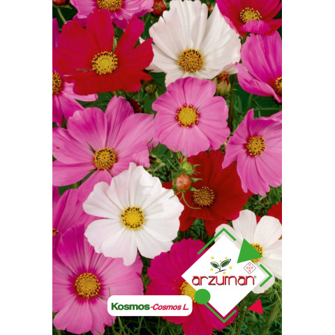 KOSMOS