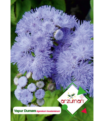VAPUR DUMANI (100 adet) VAPUR DUMANI (100 adet)