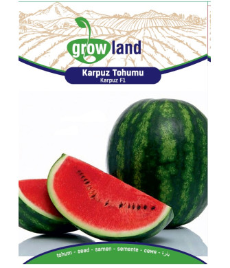 KARPUZ F1 (10 Adet)