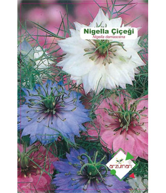 NİGELLA (Nigella) 40 AD.