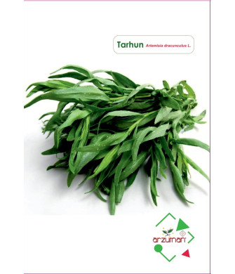 TARHUN (100 ADET)