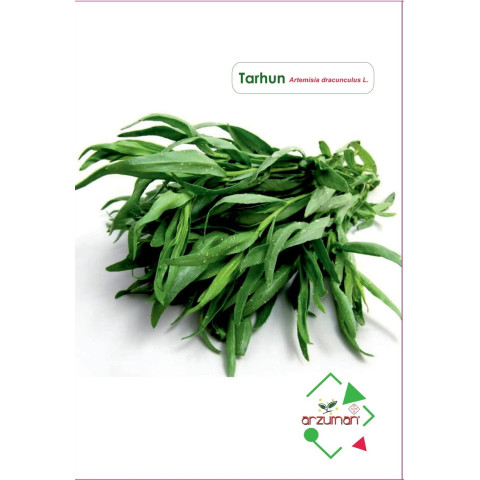 TARHUN (100 ADET)