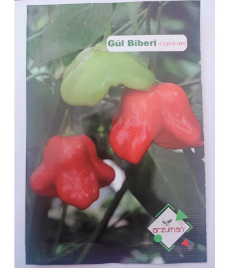 AÇ71- Arzuman Gül biberi (Capsicum) 20 Adet AÇ71- Arzuman Gül biberi (Capsicum) 20 Adet