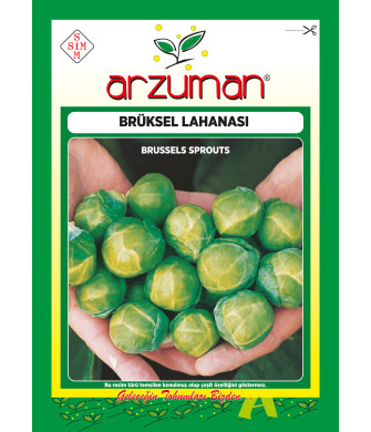 BRÜKSEL LAHANA (300 adet)