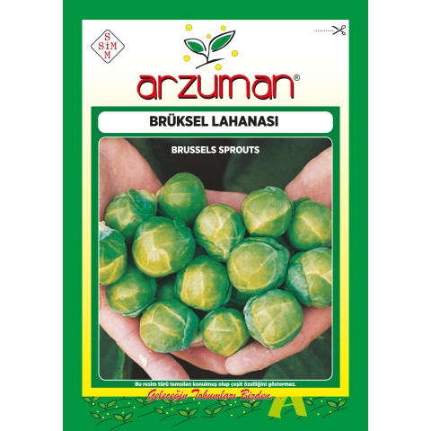 BRÜKSEL LAHANA -