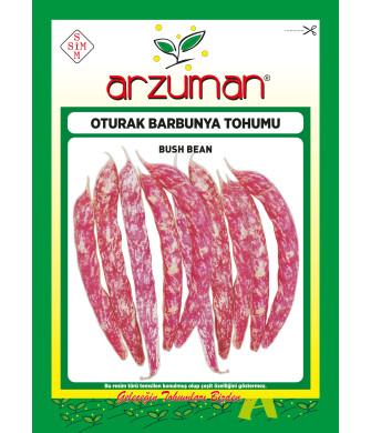 BARBUNYA(OTURAK) 50 GR