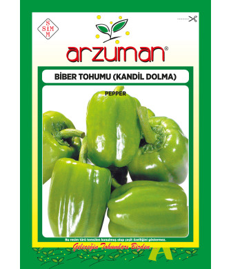  KANDİL DOLMA (10 GR)