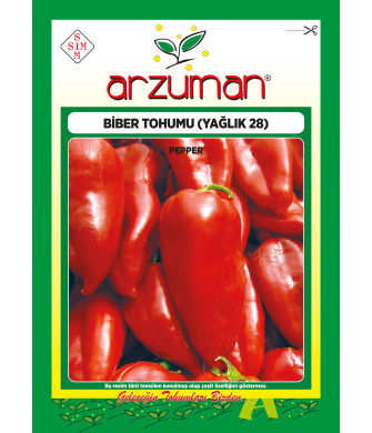 YAĞLIK KAPYA (10GR) YAĞLIK KAPYA (10GR)