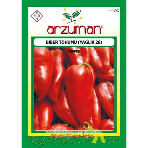 YAĞLIK KAPYA 10GR -