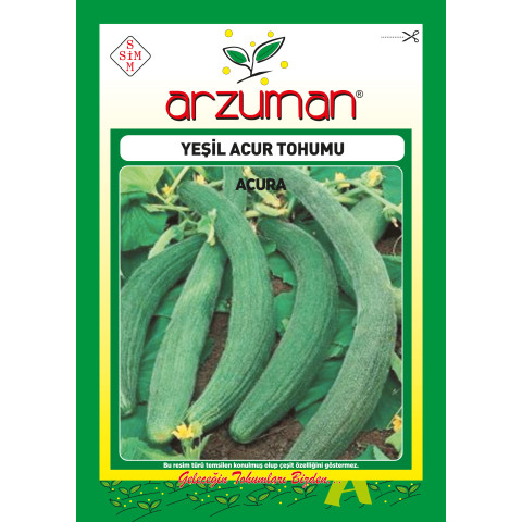 YEŞİL ACUR -