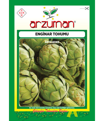 ENGİNAR (30 adet)