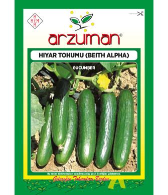 BEİTH ALPHA ( 10 GR) BEİTH ALPHA ( 10 GR)