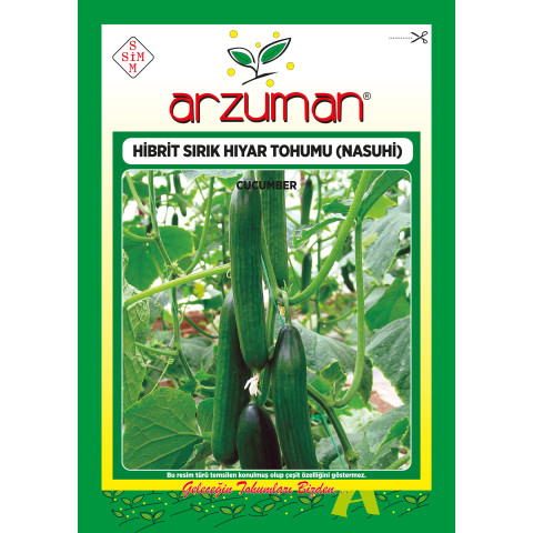 NASUHİ F1 (SIRIK ) -