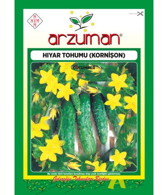 KORNİŞON (100 adet) KORNİŞON (100 adet)
