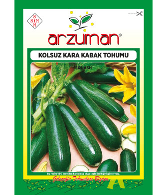 SİYAH KABAK (10 GR)