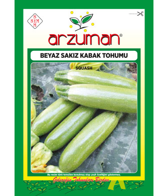 BEYAZ SAKIZ KABAK (10 GR)