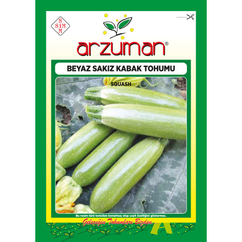 BEYAZ SAKIZ KABAK -
