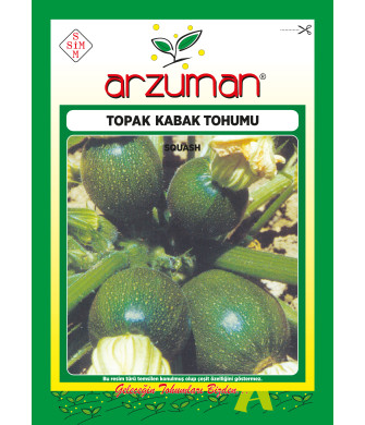 TOPAK KABAK (10 GR)
