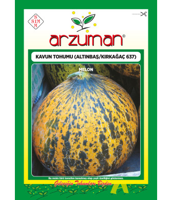  KIRKAĞAÇ 637 ALTINBAŞ (10 GR)