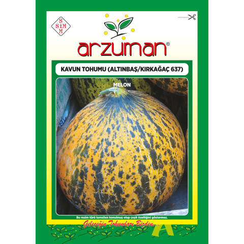 KAVUN TOHUMU KIRKAĞAÇ 637 (ALTINBAŞ)