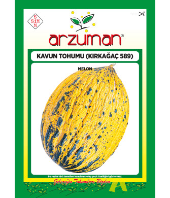  KIRKAĞAÇ 589 10 g
