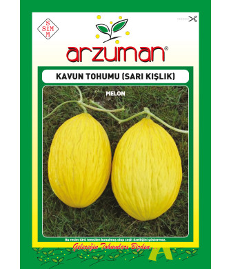 SARI KIŞLIK (10 GR)
