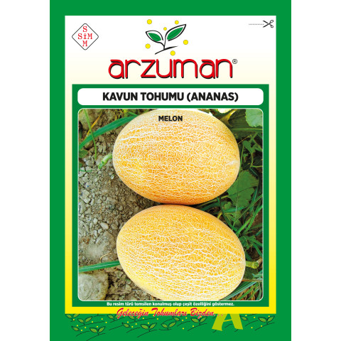 ANANAS KAVUN