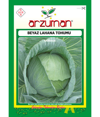 BEYAZ LAHANA (10 GR)