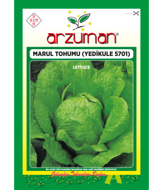 YEDİKULE-5701 (10 GR) YEDİKULE-5701 (10 GR)