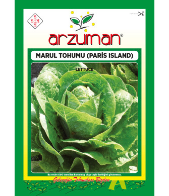 PARİS İSLAND (10 GR) PARİS İSLAND (10 GR)