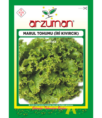İRİ KIVIRCIK (10 GR) İRİ KIVIRCIK (10 GR)