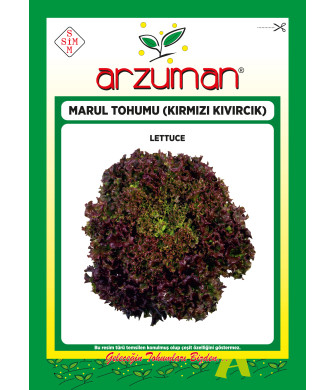 KIRMIZI KIVIRCIK (1000 ADET) KIRMIZI KIVIRCIK (1000 ADET)