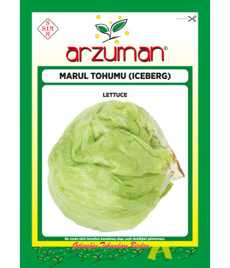 ICEBERG (3 g) ICEBERG (3 g)