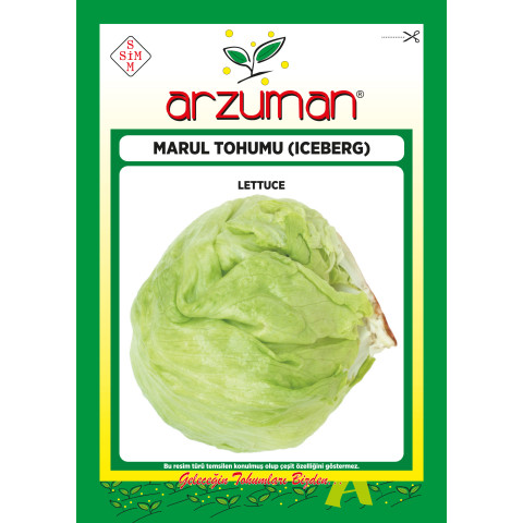 ICEBERG -