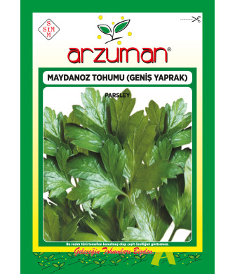 D`GİANT İTALİANA MAYDANOZ İTHAL (25 GR) 