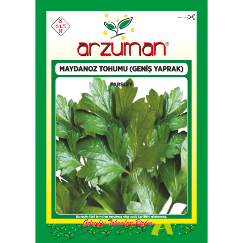 D`GİANT İTALİANA MAYDANOZ (İTHAL) - 8682754101626