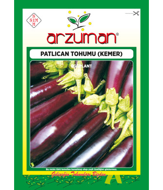  KEMER (10 GR)