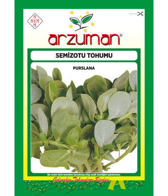 YEŞİM SEMİZOTU  (10 GR)