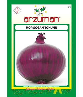 MOR SOĞAN (5 GR)