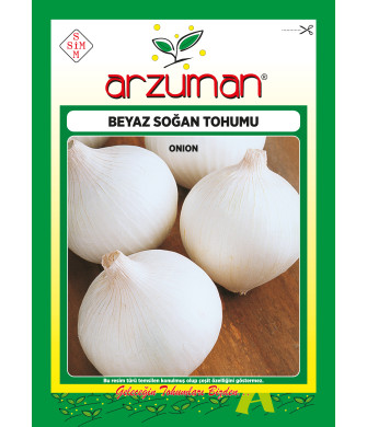 BEYAZ SOĞAN (5 GR)
