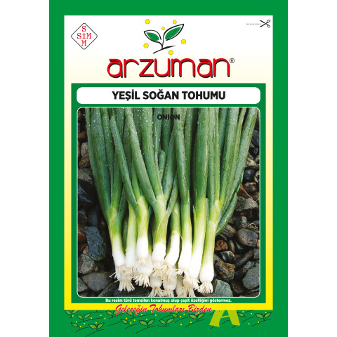 YEŞİL SOĞAN 10 GR -