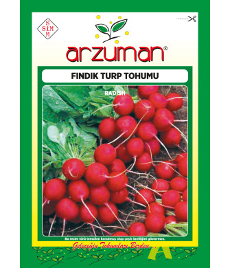 FINDIK TURP (25 GR)