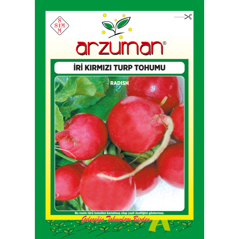 İRİ KIRMIZI TURP 25 GR -