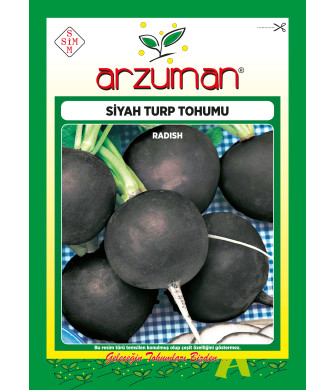 SİYAH TURP (25 GR)