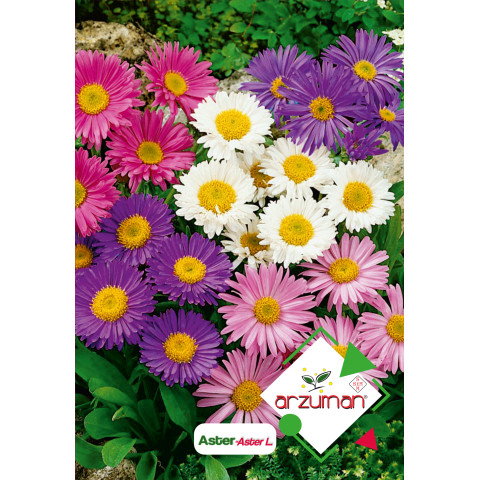 ASTER